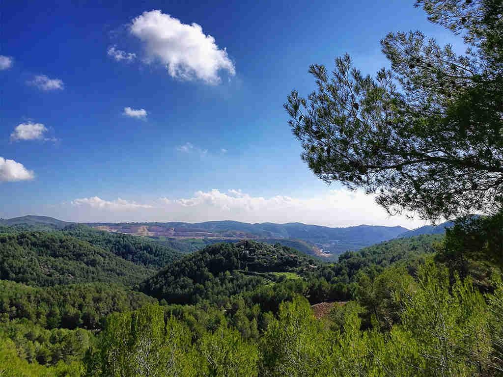 Garraf